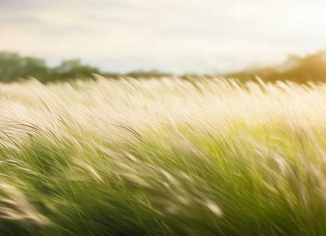 风的小故事；有关风的小故事