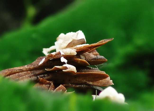 宋江被小孩子欺负的故事书，宋江被小孩子欺负的故事书有哪些