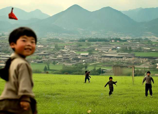 王二小的故事全集，王二小的故事全集视