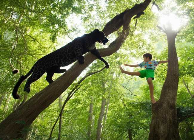 豹大王爬树儿童故事、豹子爬树