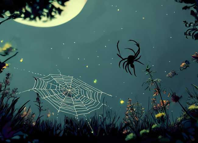 蜘蛛的故事民间故事 - 蜘蛛的故事民间故事视频