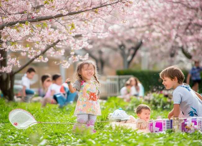 春天的故事儿童故事 - 春天的故事幼儿故事