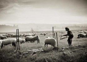 亡羊补牢成语故事绘画；亡羊补牢成语故事绘画图片