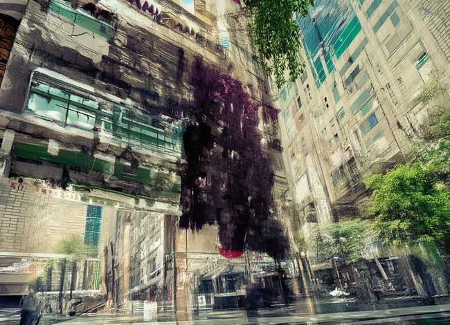 乌龟的童话故事50字、乌龟的故事大全集50