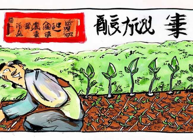 成语故事拔苗助长手抄报、成语故事拔苗助长手抄报怎么画