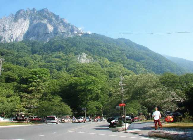 小故事将心比心，小故事将心比心信誉楼读后感100字