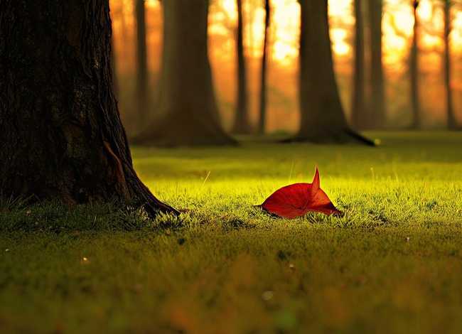 哲理寓意很深的画 - 哲理寓意很深的画图片