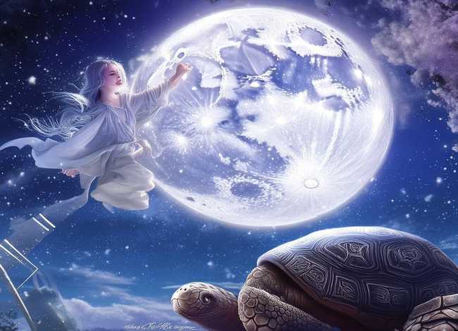 故事-嫦娥奔月；故事-嫦娥奔月vs灵龟望月富贵毛福梅