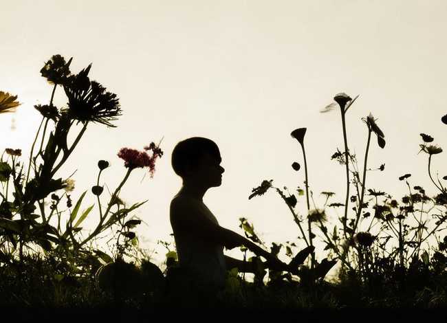 人无完人的全话；人无完人的前一句话是什么