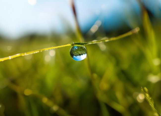 一滴水滴的故事；一滴小水滴的故事