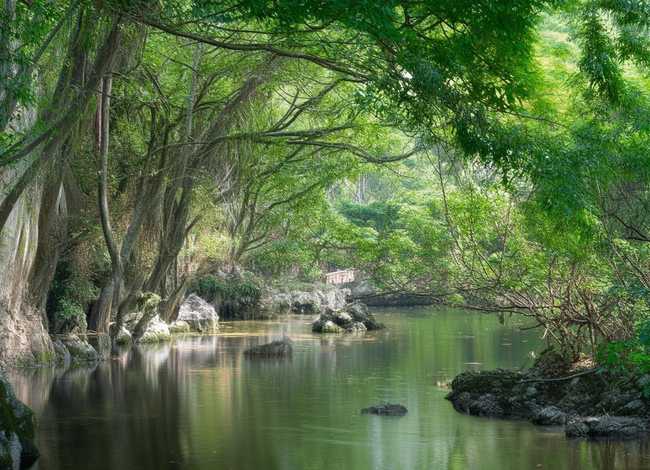 她的故事(厦门)商贸有限公司、她的故事结局