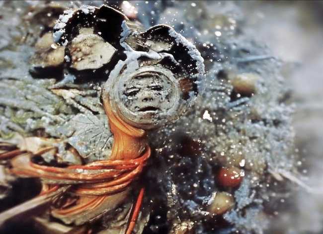 画蛇添足儿童故事插画、画蛇添足的故事插画