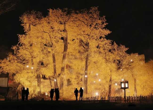 讲故事猪八戒；讲故事猪八戒吃西瓜100字