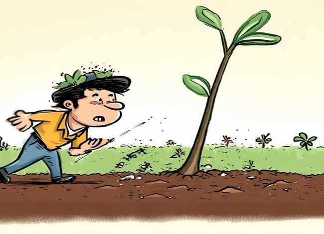 拔苗助长的故事插画 - 拔苗助长的故事简笔画图片