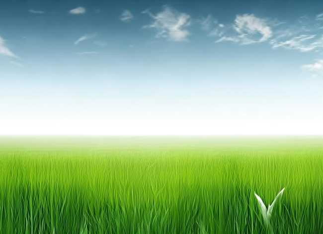 三年级寓言故事思维导图、三年级寓言故事思维导图稻草人