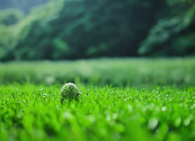 儿童故事蜗牛骑士，蜗牛骑士的故事内容简介