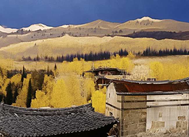 惊弓之鸟的故事,惊弓之鸟的故事50字 惊弓之鸟的故事,惊弓之鸟的故事50字