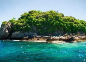 猴岛在哪里？，南湾猴岛在哪里