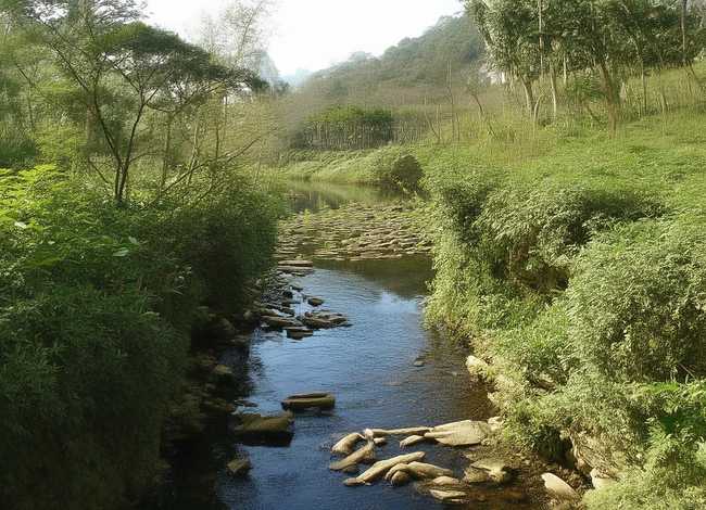 刮目相看 的故事 - 刮目相看的故事50字