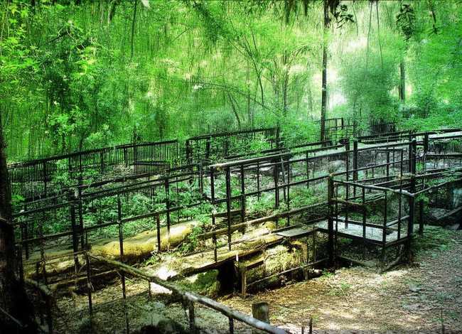 外国神话故事精选2 外国神话故事精选200字