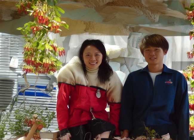 徐悲鸿的一个小故事、徐悲鸿的一个小故事50字