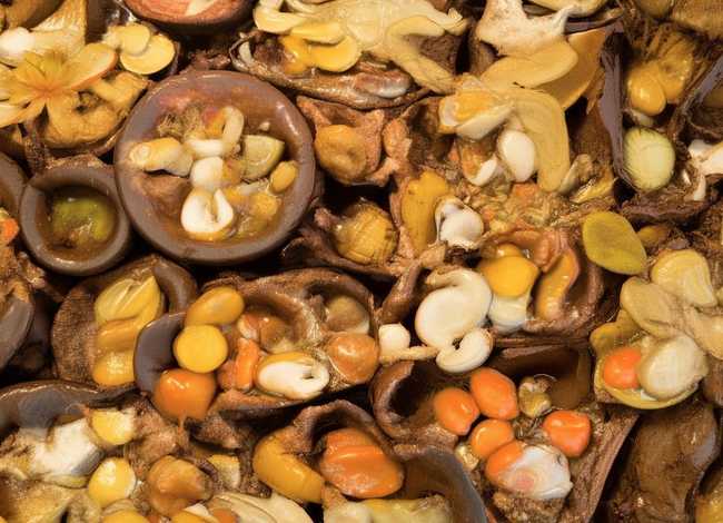 一鸣惊人的故事简短20字 - 一鸣惊人的故事简短20字左右