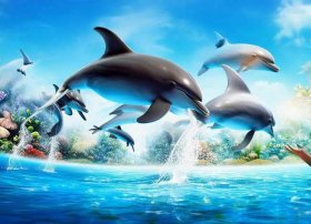 海豚故事2、海豚的故事2