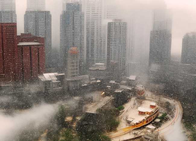 白狐感人的故事，白狐感人的故事50字