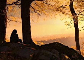 维也纳森林的故事告诉我们什么 - 维也纳森林的故事告诉我们什么道理