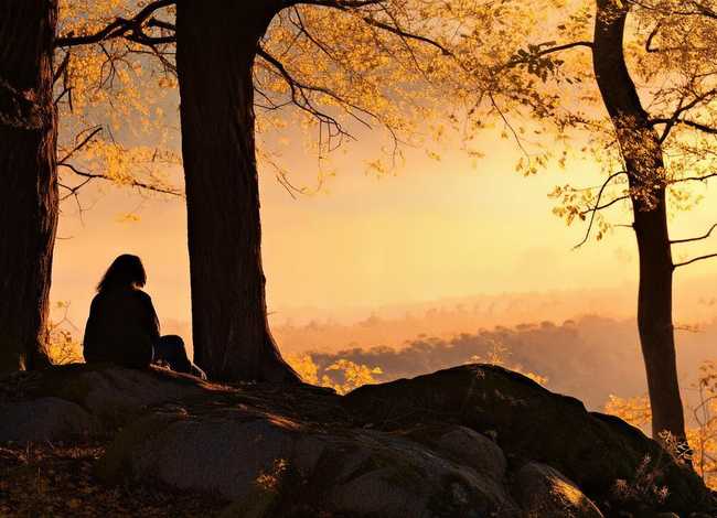 维也纳森林的故事告诉我们什么 - 维也纳森林的故事告诉我们什么道理