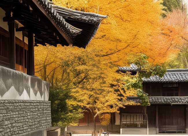 免费维语故事 免费维语故事在线听