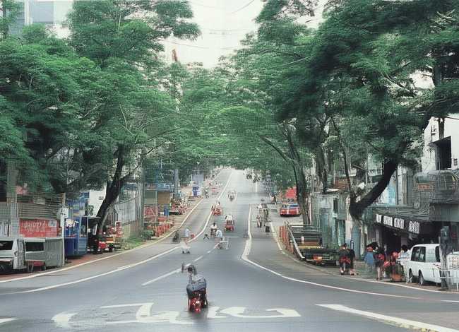 法布尔小故事100字；法布尔的小故事100字