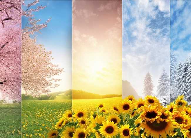 关于春夏秋冬的故事 - 关于春夏秋冬的故事简短