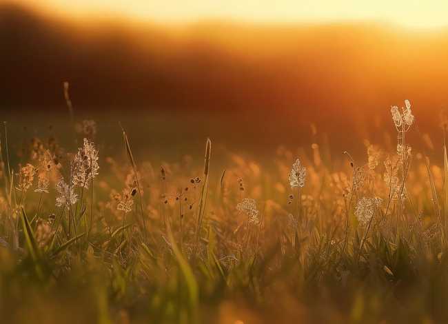 蜗牛找家的故事、小蜗牛找家的故事