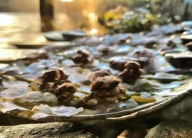 秦桧的故事简短100字；秦桧的故事简短100字左右