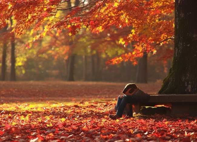 落叶 故事（落叶故事读后感）