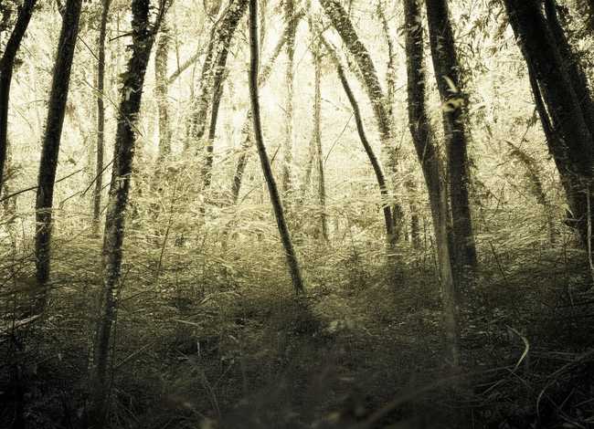 内蒙古草原儿童故事 - 内蒙古草原的神话故事