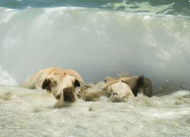 非主流流行的故事,非主流流行的故事100字 非主流流行的故事,非主流流行的故事100字