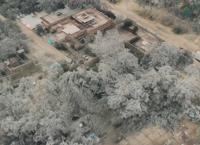 蒲公英的简短故事 - 蒲公英的简短故事50字二年级