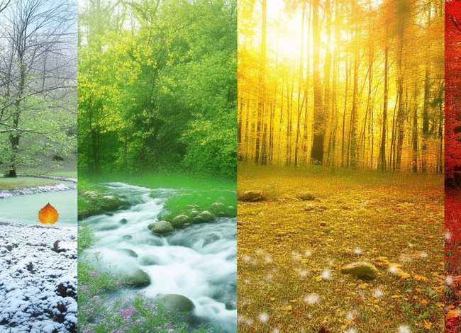 四季的故事诵读（四季的故事诵读视频）