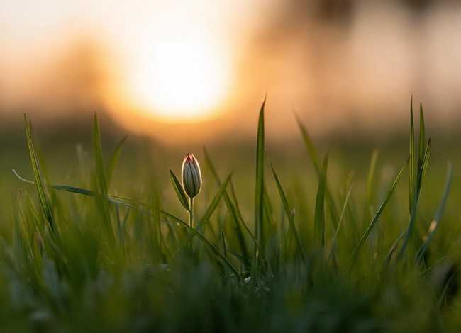 诞生故事简短，诞生故事简短介绍