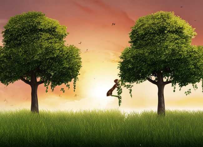 嫉妒的寓言故事（嫉妒的寓言故事有哪些）