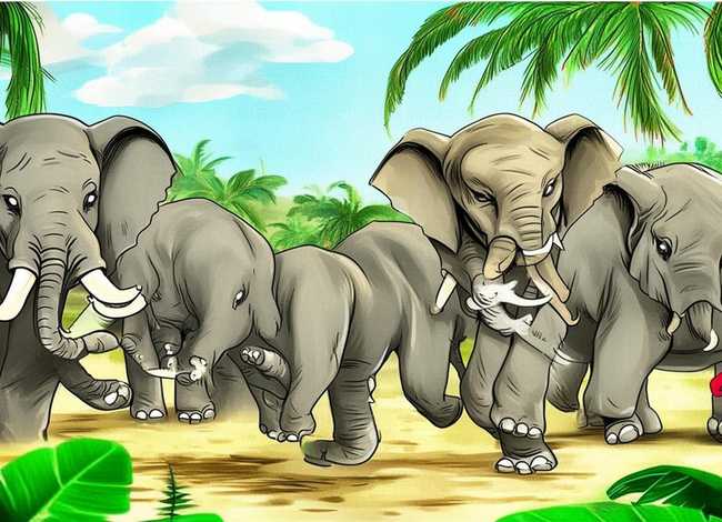 大象故事大全完整版 - 大象故事大全完整版视频