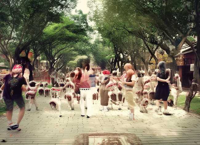 关于动物之间亲情的故事200字左右 - 关于动物之间亲情的故事200字左右三年级