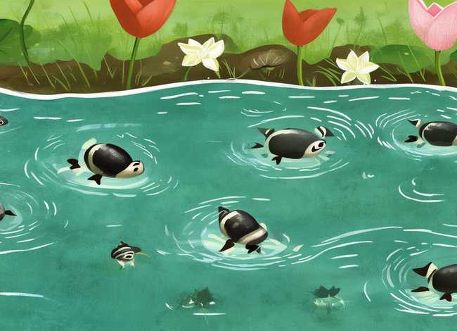 小蝌蚪找妈妈儿童故事粤语 小蝌蚪找妈妈 语音讲故事