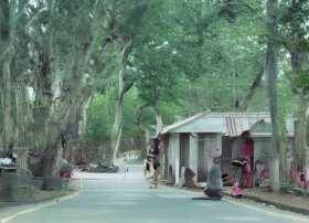 撒哈拉的故事三毛简介 - 撒哈拉的故事三毛简介50字