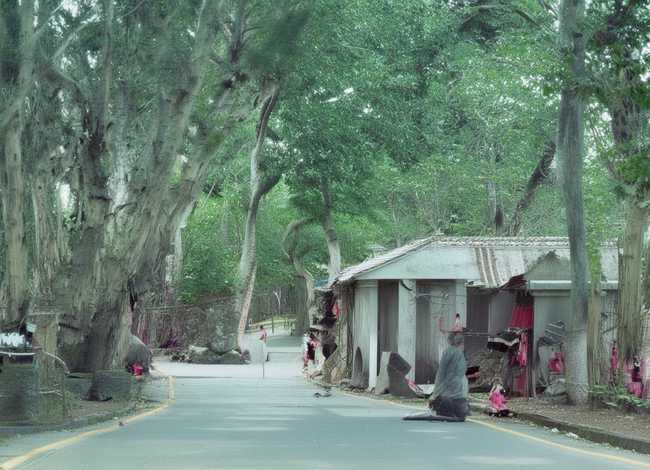 撒哈拉的故事三毛简介 - 撒哈拉的故事三毛简介50字 撒哈拉的故事三毛简介 - 撒哈拉的故事三毛简介50字