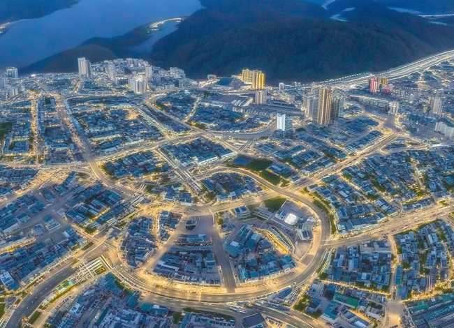 玫瑰少年背后故事感受 - 玫瑰少年背后故事感受50字