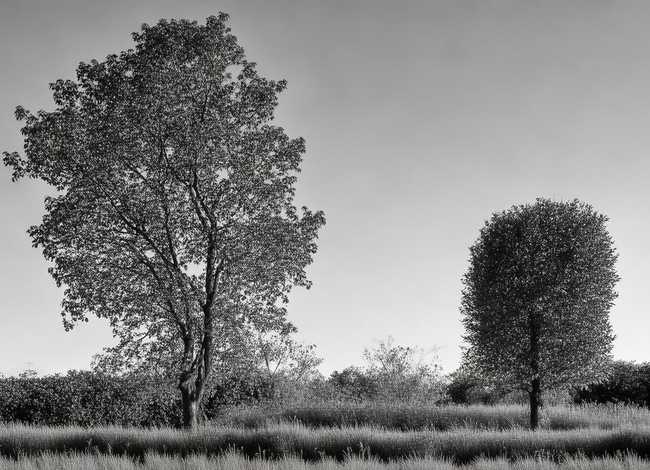 取长补短的例子50字 取长补短的例子100字