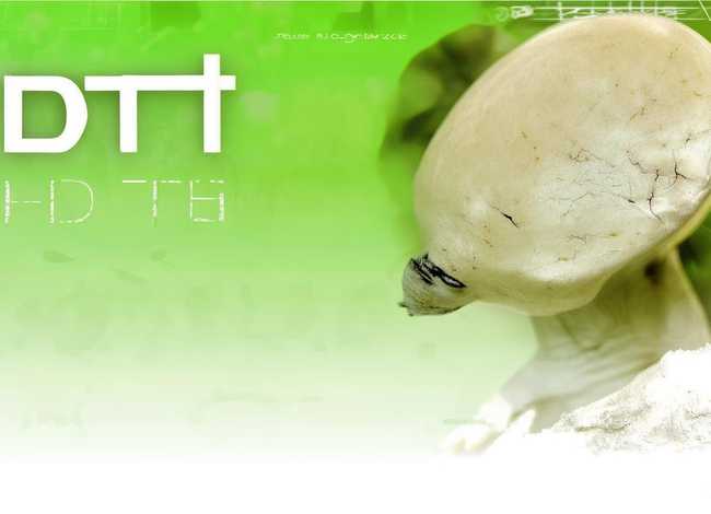 儿童小故事ppt（儿童小故事ppt图片）